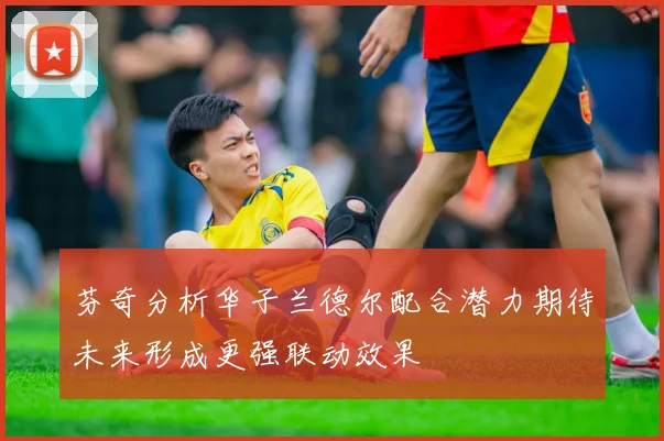 芬奇分析华子兰德尔配合潜力期待未来形成更强联动效果